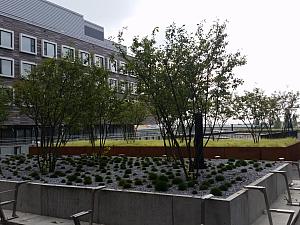 Krankenhaus Nord 1210 Wien - 2585